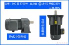 EWG系列全封閉斜齒輪減速機資料