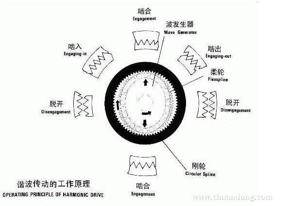 圖片10