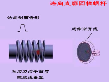 直廓環(huán)面蝸桿